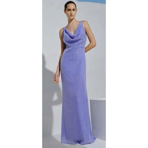 Baobab Drape Neck Teva Sequin Formal Gown Maxi Dress Size Large NWT - Picture 1 of 9